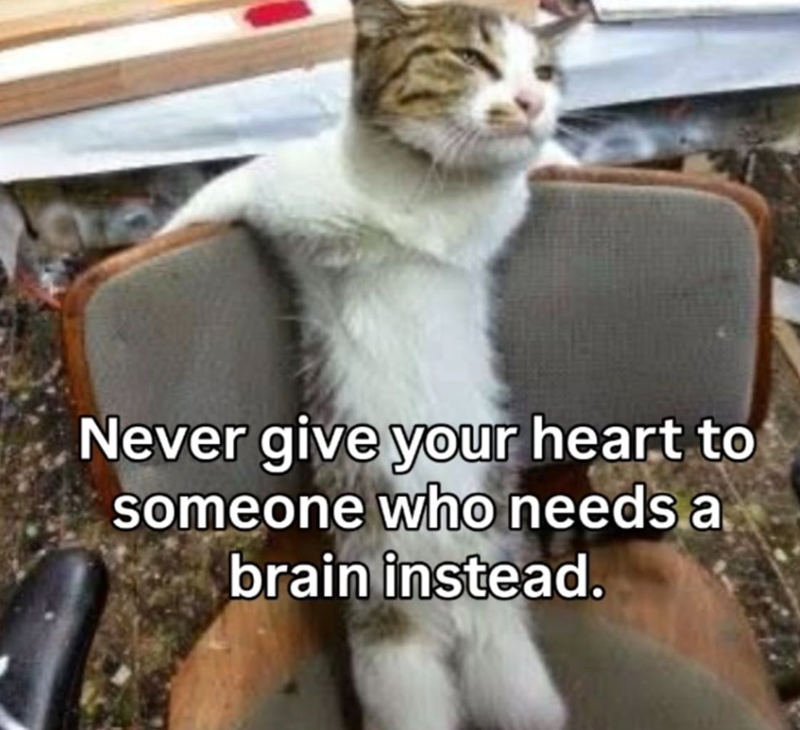 Never give your heart to someone who needs a brain instead.