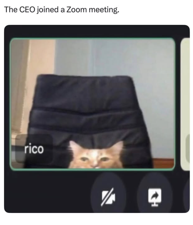 The CEO joined a Zoom meeting. rico