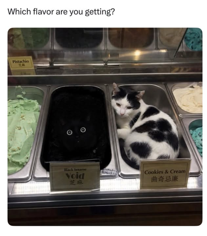 Which flavor are you getting? Pistachio 芝麻 Black Sesame Void 芝麻 Cookies & Cream) 曲奇忌廉