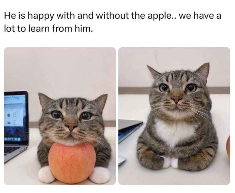 He is happy with and without the apple.. we have lot to learn from him. 111 111