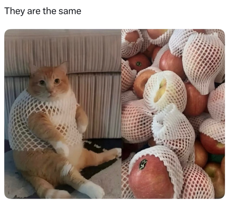 They are the same