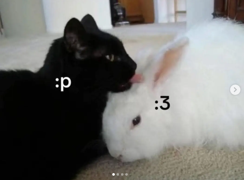:3 > d: