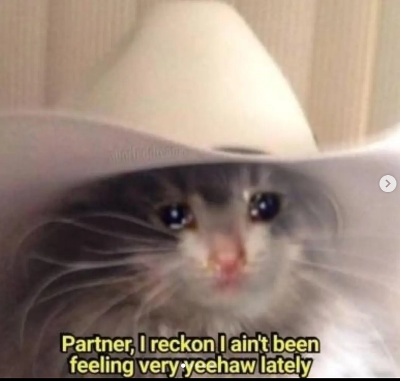 Partner, I reckon I ain't been feeling very yeehaw lately >