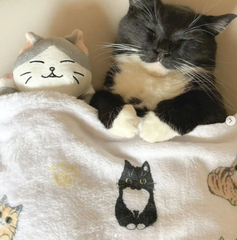 ハ &