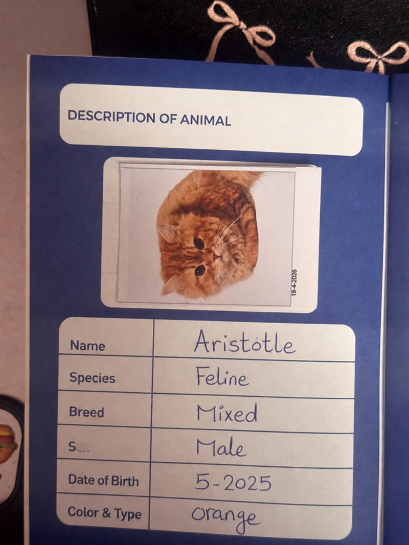 DESCRIPTION OF ANIMAL Name Aristotle Species Feline Breed Mixed S Male Date of Birth 5-2025 Color & Type orange 18-4-2026