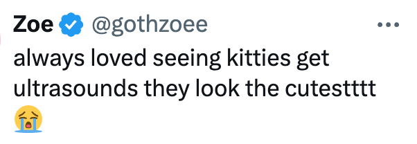 Zoe @gothzoee always loved seeing kitties get ultrasounds they look the cutestttt