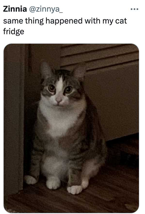 Zinnia @zinnya_ same thing happened with my cat fridge
