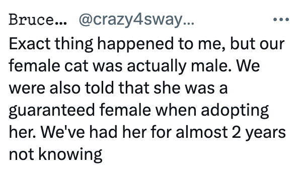 Bruce... @crazy4sway... Exact thing happened to me, but our female cat was actually male. We were also told that she was a guaranteed female when adopting her. We've had her for almost 2 years not knowing