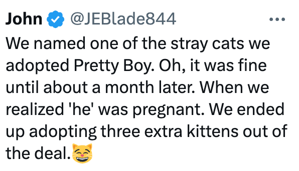 John @JEBlade844 We named one of the stray cats we adopted Pretty Boy. Oh, it was fine until about a month later. When we realized 'he' was pregnant. We ended up adopting three extra kittens out of the deal.