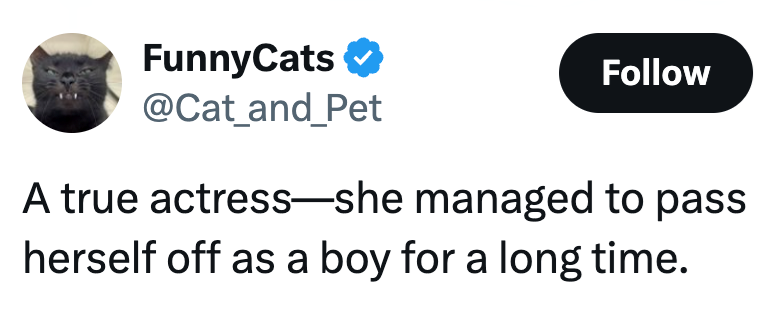 FunnyCats ✔ @Cat_and_Pet Follow A true actress-she managed to pass herself off as a boy for a long time.