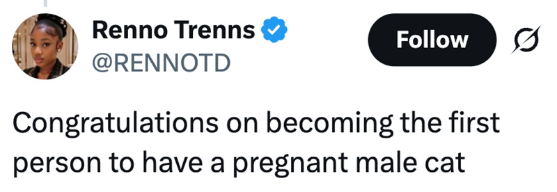 Renno Trenns @RENNOTD Follow Ø Congratulations on becoming the first person to have a pregnant male cat