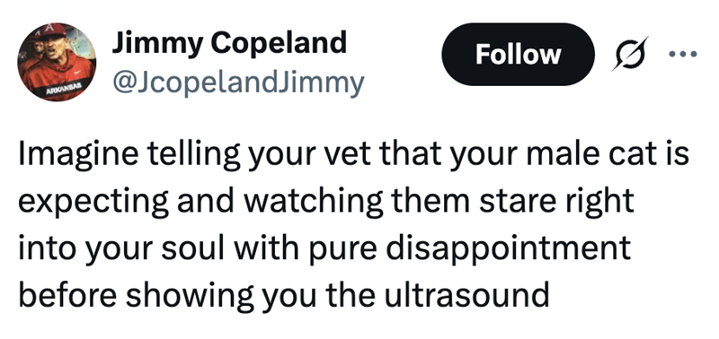 Jimmy Copeland ARKANSAS Follow @JcopelandJimmy Imagine telling your vet that your male cat is expecting and watching them stare right into your soul with pure disappointment before showing you the ultrasound