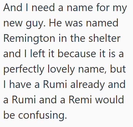 And I need a name for my new guy. He was named Remington in the shelter and I left it because it is a perfectly lovely name, but I have a Rumi already and a Rumi and a Remi would be confusing.