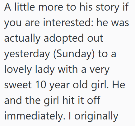 A little more to his story if you are interested: he was actually adopted out yesterday (Sunday) to a lovely lady with a very sweet 10 year old girl. He and the girl hit it off immediately. I originally