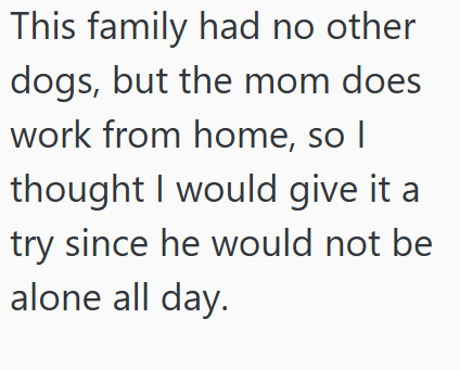 This family had no other dogs, but the mom does work from home, so I thought I would give it a try since he would not be alone all day.