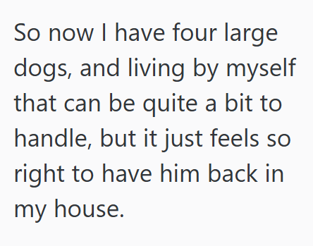 So now I have four large dogs, and living by myself that can be quite a bit to handle, but it just feels so right to have him back in my house.