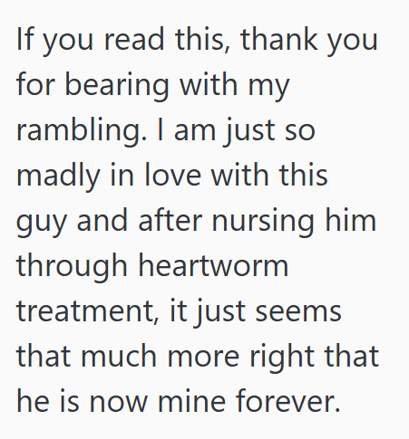 If you read this, thank you for bearing with my rambling. I am just so madly in love with this guy and after nursing him through heartworm treatment, it just seems that much more right that he is now mine forever.