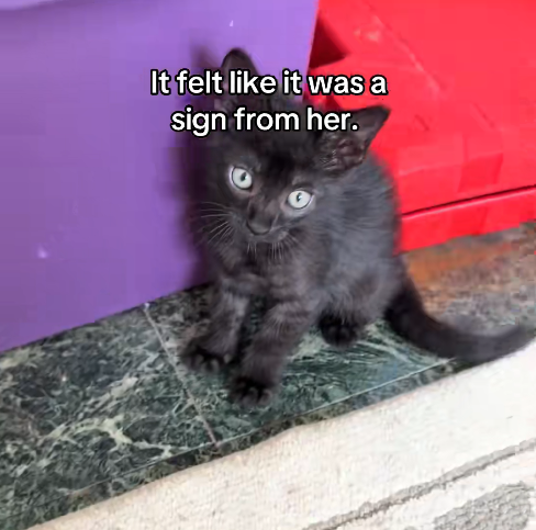 It felt like it was a sign from her.