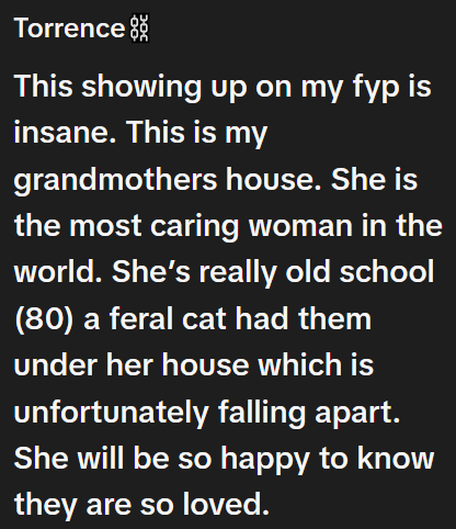 Torrence This showing up on my fyp is insane. This is my grandmothers house. She is the most caring woman in the world. She's really old school (80) a feral cat had them under her house which is unfortunately falling apart. She will be so happy to know they are so loved.