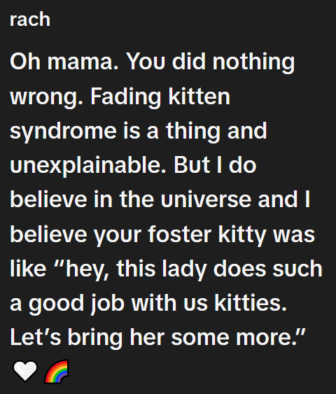 rach Oh mama. You did nothing wrong. Fading kitten syndrome is a thing and unexplainable. But I do believe in the universe and I believe your foster kitty was like "hey, this lady does such a good job with us kitties. Let's bring her some more."