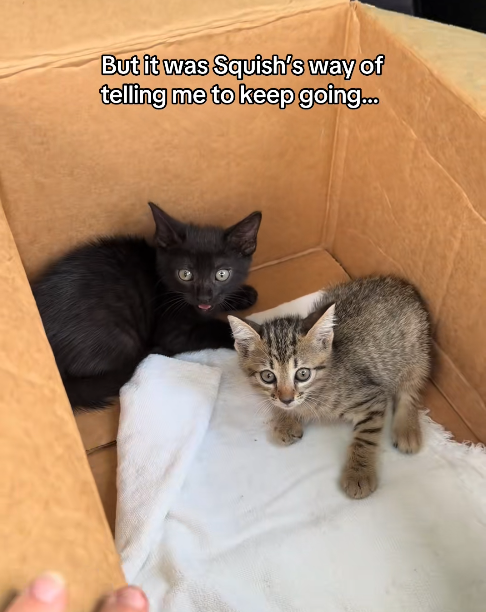 But it was Squish's way of telling me to keep going...