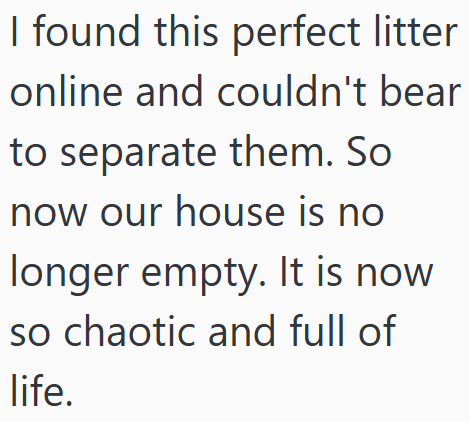 I found this perfect litter online and couldn't bear to separate them. So now our house is no longer empty. It is now so chaotic and full of life.