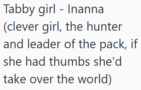 Tabby girl - Inanna (clever girl, the hunter and leader of the pack, if she had thumbs she'd take over the world)