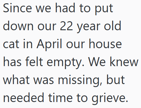 Since we had to put down our 22 year old cat in April our house has felt empty. We knew what was missing, but needed time to grieve.