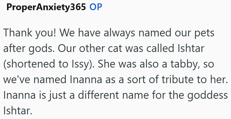 ProperAnxiety365 OP Thank you! We have always named our pets after gods. Our other cat was called Ishtar (shortened to Issy). She was also a tabby, so we've named Inanna as a sort of tribute to her. Inanna is just a different name for the goddess Ishtar.
