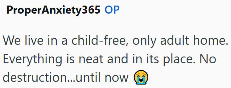 ProperAnxiety365 OP We live in a child-free, only adult home. Everything is neat and in its place. No destruction...until now