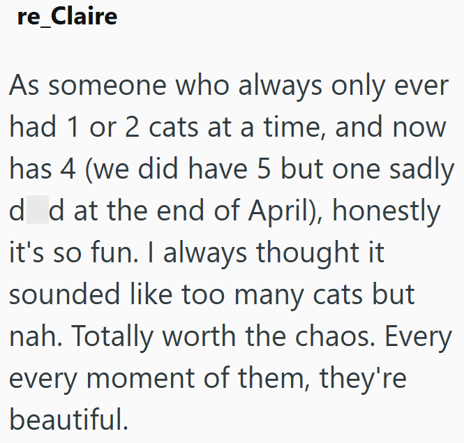 re_Claire As someone who always only ever had 1 or 2 cats at a time, and now has 4 (we did have 5 but one sadly d d at the end of April), honestly it's so fun. I always thought it sounded like too many cats but nah. Totally worth the chaos. Every every moment of them, they're beautiful.