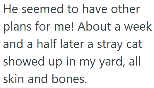 He seemed to have other plans for me! About a week and a half later a stray cat showed up in my yard, all skin and bones.