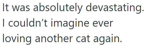 It was absolutely devastating. I couldn't imagine ever loving another cat again.