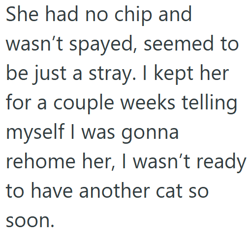 She had no chip and wasn't spayed, seemed to be just a stray. I kept her for a couple weeks telling myself I was gonna rehome her, I wasn't ready to have another cat so soon.