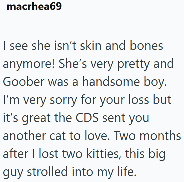 macrhea69 I see she isn't skin and bones anymore! She's very pretty and Goober was a handsome boy. I'm very sorry for your loss but it's great the CDS sent you another cat to love. Two months after I lost two kitties, this big guy strolled into my life.