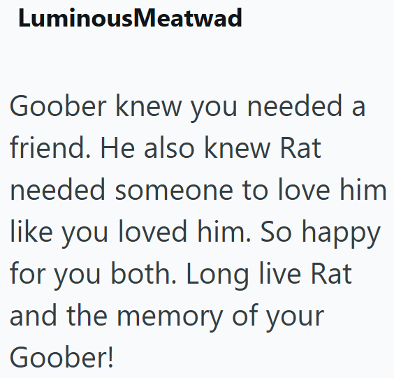 LuminousMeatwad Goober knew you needed a friend. He also knew Rat needed someone to love him like you loved him. So happy for you both. Long live Rat and the memory of your Goober!