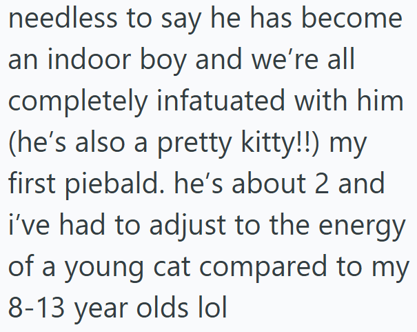 needless to say he has become an indoor boy and we're all completely infatuated with him (he's also a pretty kitty!!) my first piebald. he's about 2 and i've had to adjust to the energy of a young cat compared to my 8-13 year olds lol