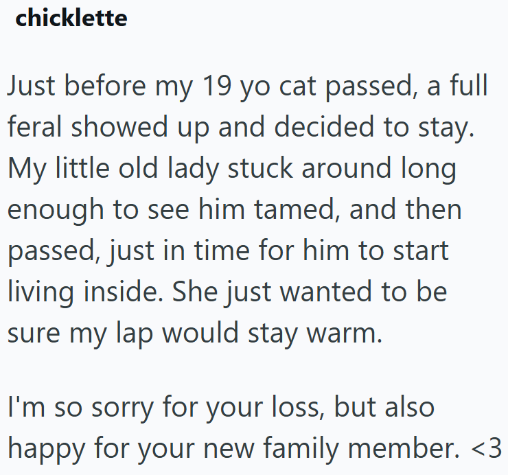 chicklette Just before my 19 yo cat passed, a full feral showed up and decided to stay. My little old lady stuck around long enough to see him tamed, and then passed, just in time for him to start living inside. She just wanted to be sure my lap would stay warm. I'm so sorry for your loss, but also happy for your new family member. <3