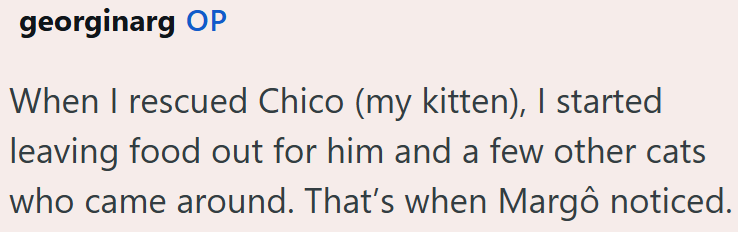 georginarg OP When I rescued Chico (my kitten), I started leaving food out for him and a few other cats who came around. That's when Margô noticed.