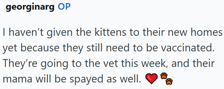 georginarg OP I haven't given the kittens to their new homes yet because they still need to be vaccinated. They're going to the vet this week, and their mama will be spayed as well.