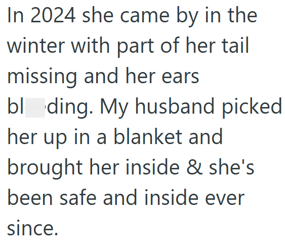 In 2024 she came by in the winter with part of her tail missing and her ears bl ding. My husband picked her up in a blanket and brought her inside & she's been safe and inside ever since.