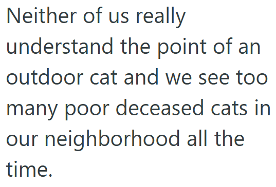 Neither of us really understand the point of an outdoor cat and we see too many poor deceased cats in our neighborhood all the time.