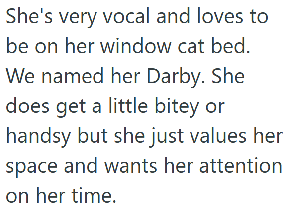 She's very vocal and loves to be on her window cat bed. We named her Darby. She does get a little bitey or handsy but she just values her space and wants her attention on her time.