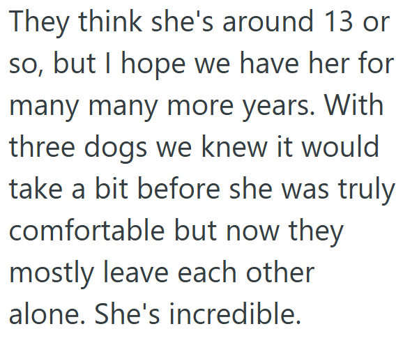 They think she's around 13 or so, but I hope we have her for many many more years. With three dogs we knew it would take a bit before she was truly comfortable but now they mostly leave each other alone. She's incredible.