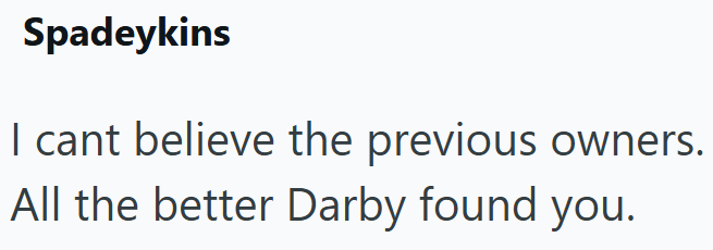 Spadeykins I cant believe the previous owners. All the better Darby found you.