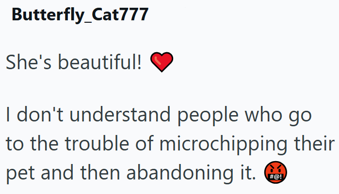 Butterfly_Cat777 She's beautiful! I don't understand people who go to the trouble of microchipping their pet and then abandoning it. #@!