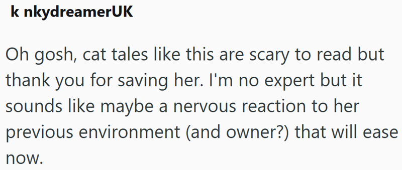 k nkydreamerUK Oh gosh, cat tales like this are scary to read but thank you for saving her. I'm no expert but it sounds like maybe a nervous reaction to her previous environment (and owner?) that will ease now.