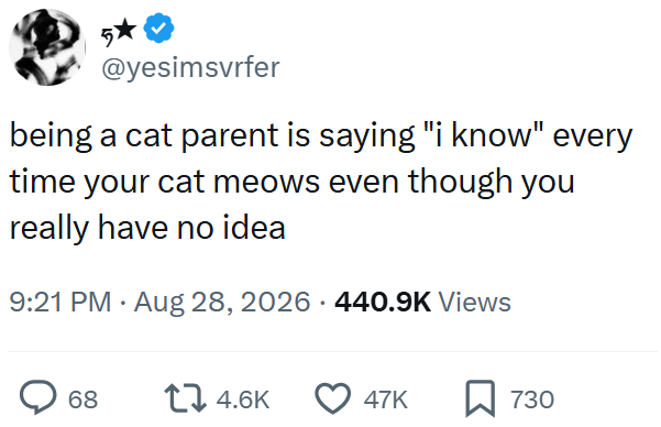 @yesimsvrfer being a cat parent is saying "i know" every time your cat meows even though you really have no idea 9:21 PM • Aug 28, 2026 440.9K Views 68 14.6K 47K ☐ 730