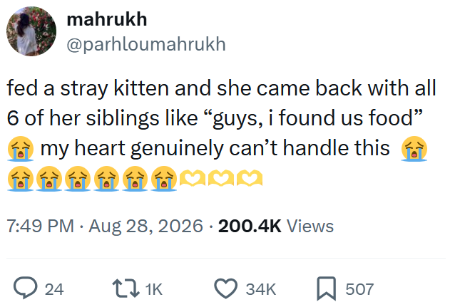 mahrukh @parhloumahrukh fed a stray kitten and she came back with all 6 of her siblings like “guys, i found us food” my heart genuinely can't handle this 7:49 PM • Aug 28, 2026 · 200.4K Views 24 1K 34K ☐ 507