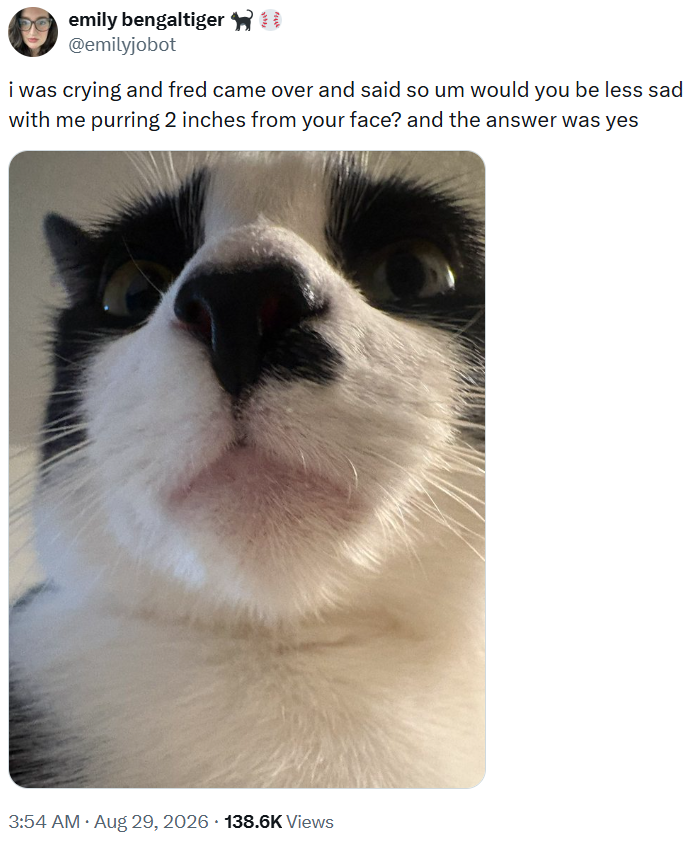 emily bengaltiger @emilyjobot i was crying and fred came over and said so um would you be less sad with me purring 2 inches from your face? and the answer was yes . • 3:54 AM • Aug 29, 2026 138.6K Views